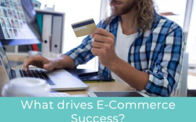 What drives E-Commerce success?