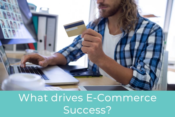 What drives E-Commerce success?